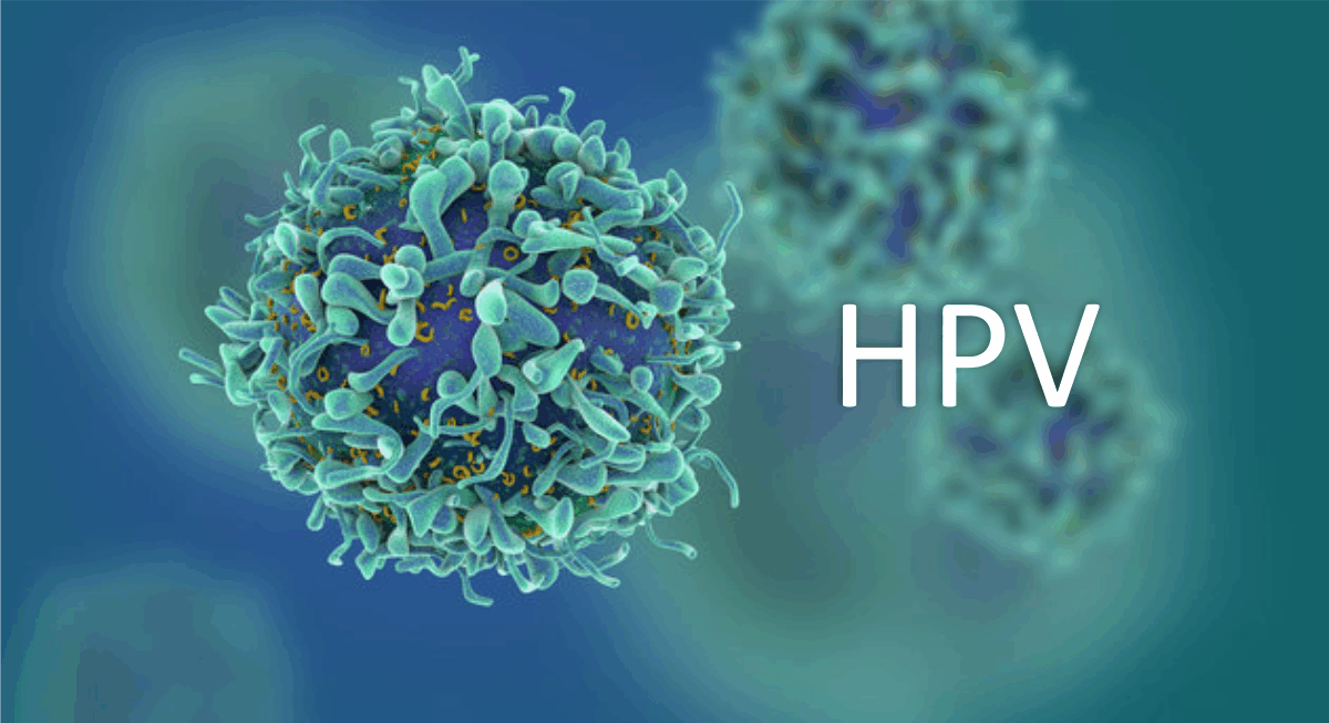 HPV: a ameaça alé do útero